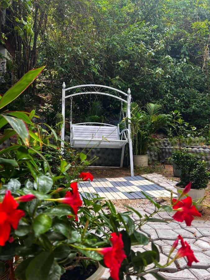 Wonderland Jungle Hostel タオ島 エクステリア 写真