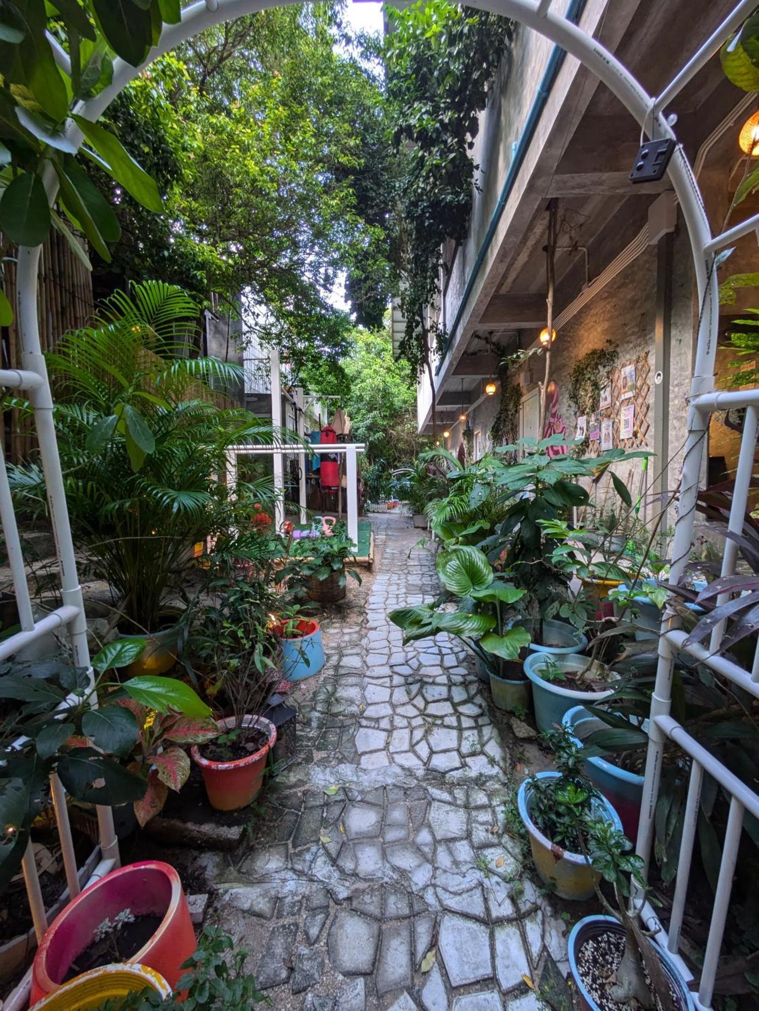 Wonderland Jungle Hostel タオ島 エクステリア 写真